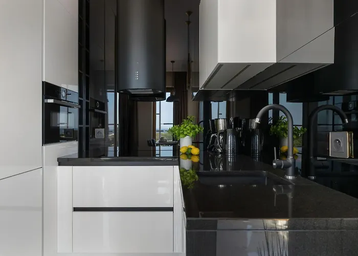 Platan Tower 114 By Interhome 公寓 斯维诺乌伊希切